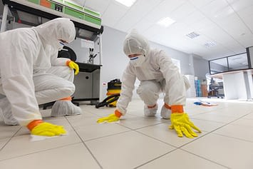 asbestos Building Surveys Services