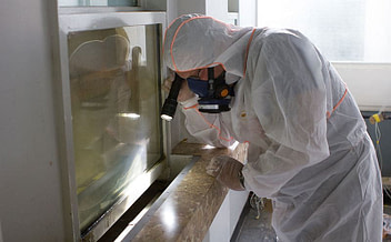 rnd Asbestos Surveys